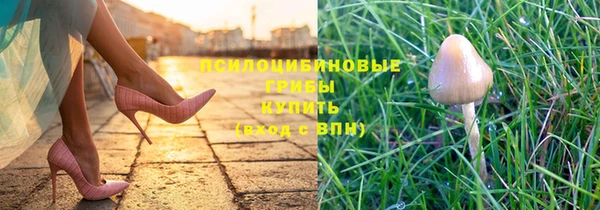 jwh Каменногорск