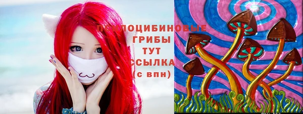 jwh Каменногорск