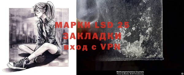 ПСИЛОЦИБИНОВЫЕ ГРИБЫ Ессентукская